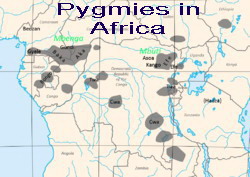 African Pygmies
