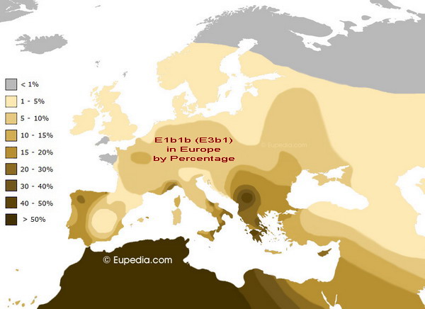 Haplogroup-E1b1b.jpg