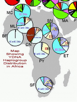 Africa YDNA Distribution